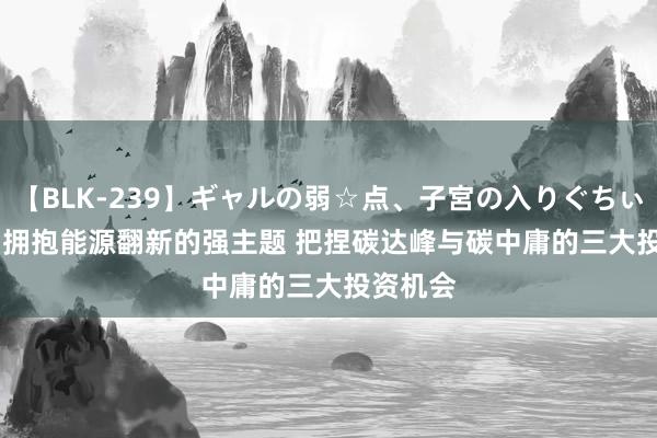 【BLK-239】ギャルの弱☆点、子宮の入りぐちぃ EMIRI 拥抱能源翻新的强主题 把捏碳达峰与碳中庸的三大投资机会