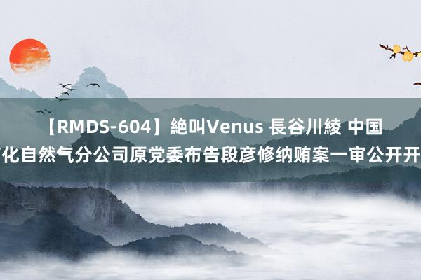 【RMDS-604】絶叫Venus 長谷川綾 中国石化自然气分公司原党委布告段彦修纳贿案一审公开开庭