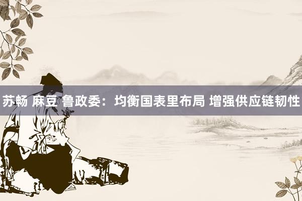 苏畅 麻豆 鲁政委：均衡国表里布局 增强供应链韧性