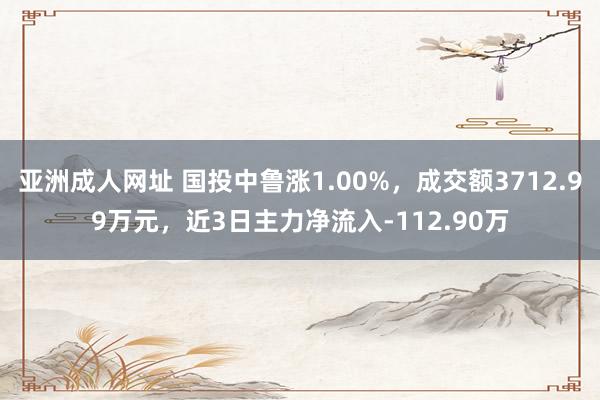 亚洲成人网址 国投中鲁涨1.00%，成交额3712.99万元，近3日主力净流入-112.90万