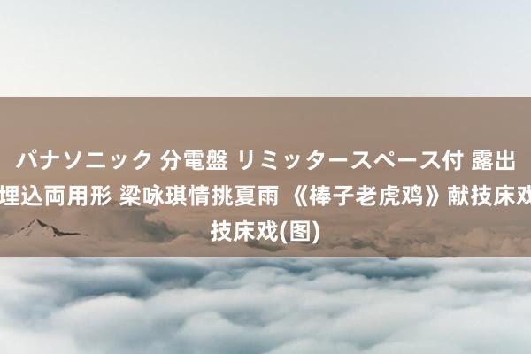 パナソニック 分電盤 リミッタースペース付 露出・半埋込両用形 梁咏琪情挑夏雨 《棒子老虎鸡》献技床戏(图)