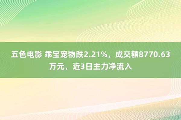 五色电影 乖宝宠物跌2.21%，成交额8770.63万元，近3日主力净流入