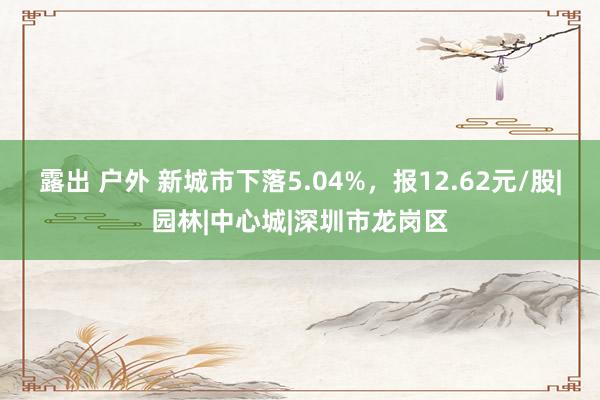 露出 户外 新城市下落5.04%，报12.62元/股|园林|中心城|深圳市龙岗区