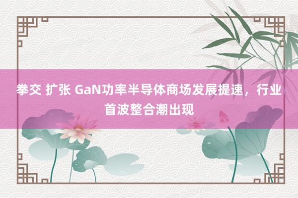 拳交 扩张 GaN功率半导体商场发展提速，行业首波整合潮出现