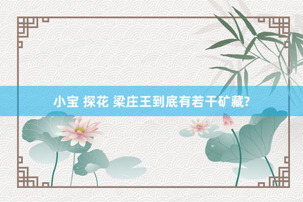 小宝 探花 梁庄王到底有若干矿藏?