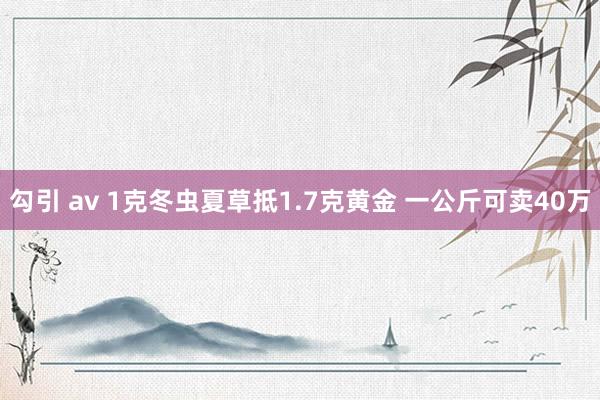 勾引 av 1克冬虫夏草抵1.7克黄金 一公斤可卖40万