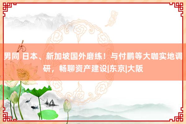 男同 日本、新加坡国外磨练！与付鹏等大咖实地调研，畅聊资产建设|东京|大阪