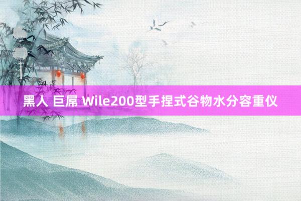 黑人 巨屌 Wile200型手捏式谷物水分容重仪