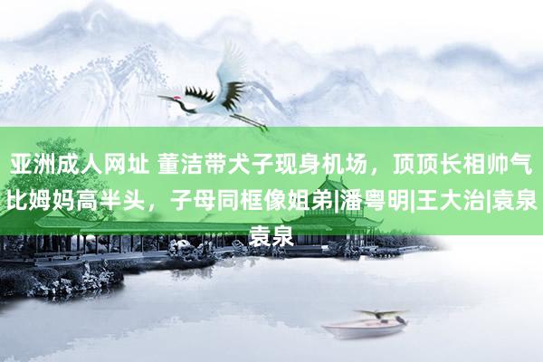 亚洲成人网址 董洁带犬子现身机场，顶顶长相帅气比姆妈高半头，子母同框像姐弟|潘粤明|王大治|袁泉