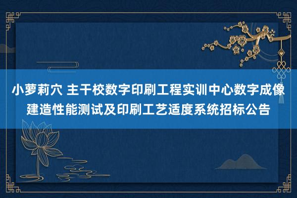 小萝莉穴 主干校数字印刷工程实训中心数字成像建造性能测试及印刷工艺适度系统招标公告